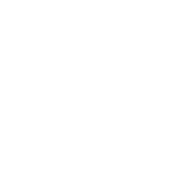 Time icon